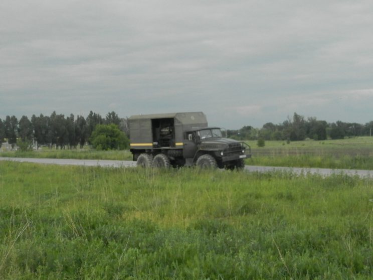 Відновлення соснового лісу
