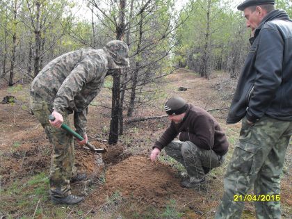 Аерозольна обробка