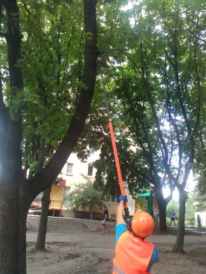 Догляд за деревами у Харкові 2