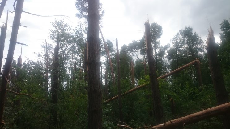 Пошкодження буревієм 3