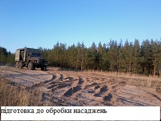 Пошкодження лісовою пожежею
