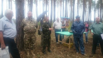 Оцінка стану соснового лісу