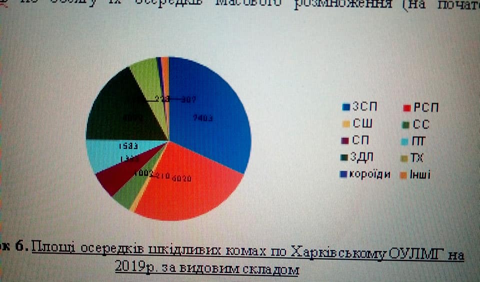 Звіт з лісопатологічного прогнозу