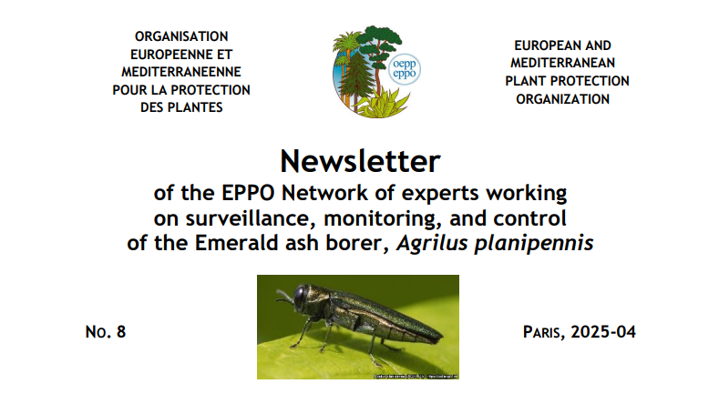 EPPO Network Newsletter