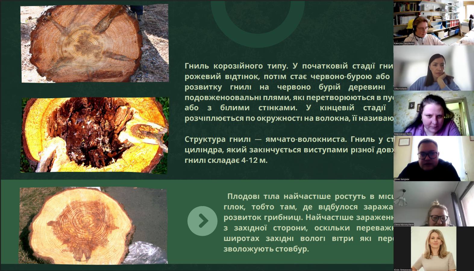 Фахівці ДСЛП 