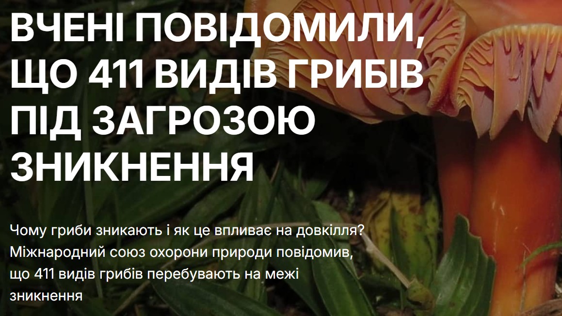 411 видів грибів